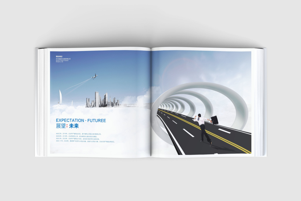 永平县画册设计